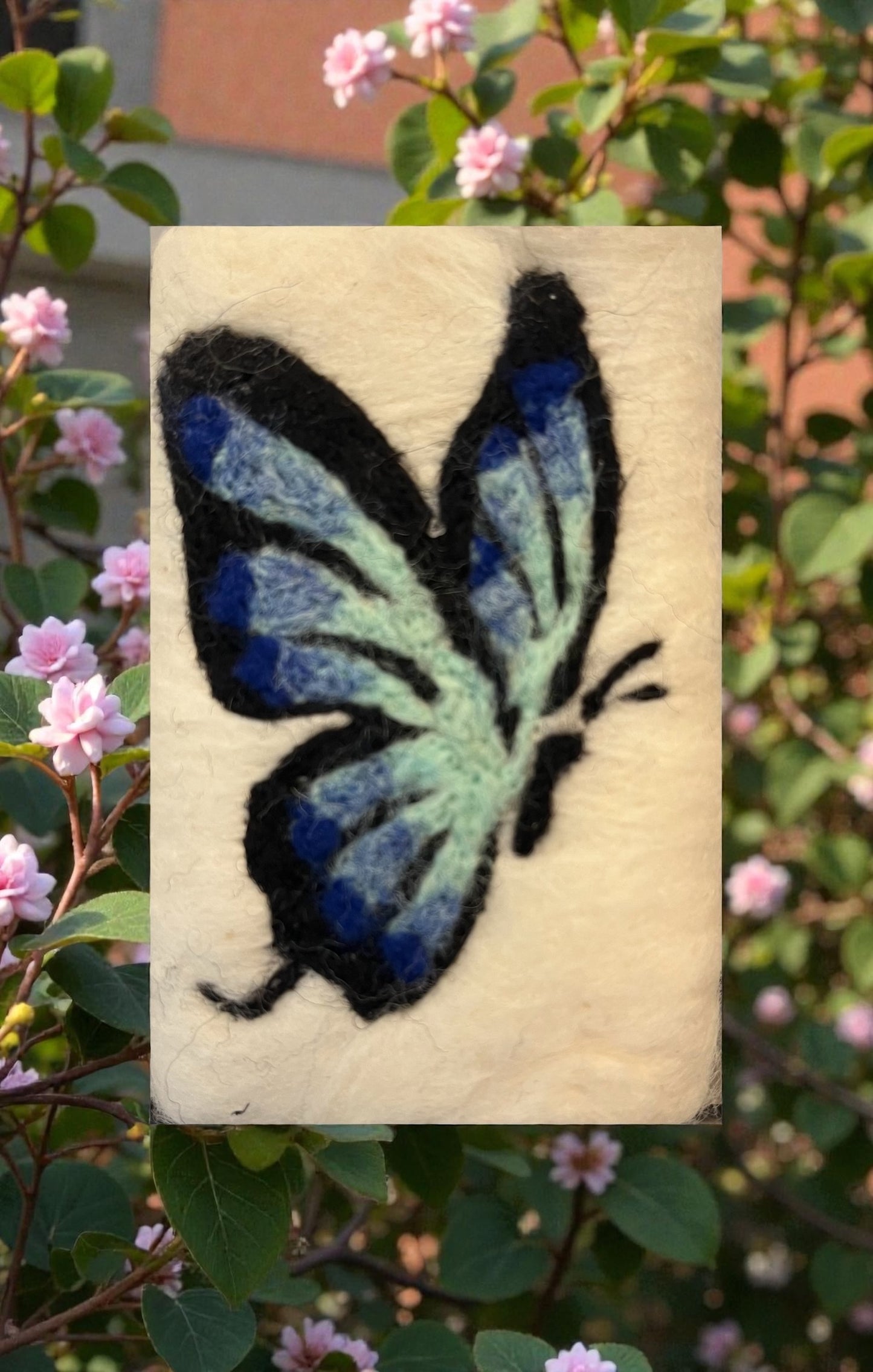 Blue Butterfly